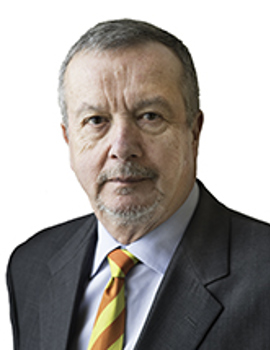 Peter David Image