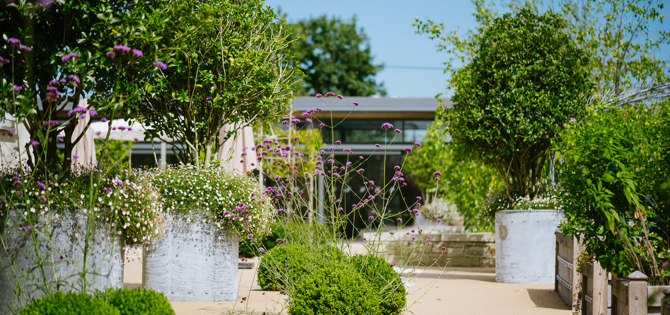 Horatios Garden Midlands