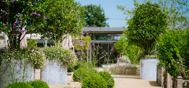Horatios Garden Midlands