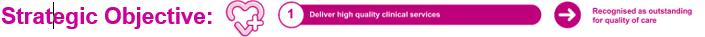 Strategic Objective 1.png